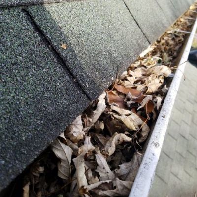 gutter cleaning foley