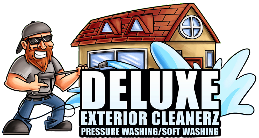 Deluxe Exterior Cleanerz Pressure Washing and Roof Cleaning Service
